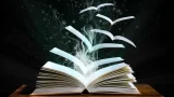 Open Access Pages