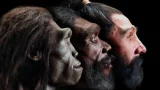 evolution white skin
