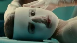 the skin i live in