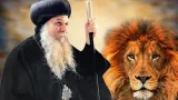 أسد العقيدة الناصرية