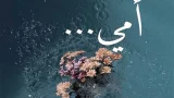 عيد الأم