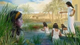 موسى